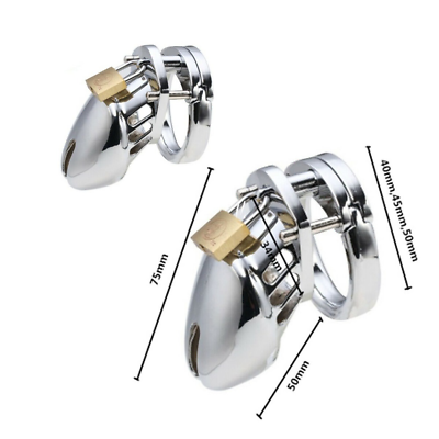 Stainless Steel Locking Cock Cage 111