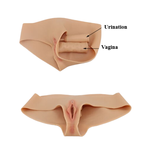 Artificial Realistic Insertable, Penetrable Pussy Panty