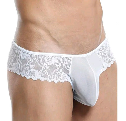 Mens Nylon Spandex Thongs Bikini Transparent Underwear